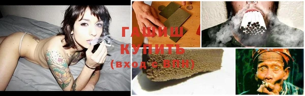 прущие грибы Бородино