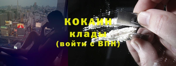 прущие грибы Бородино