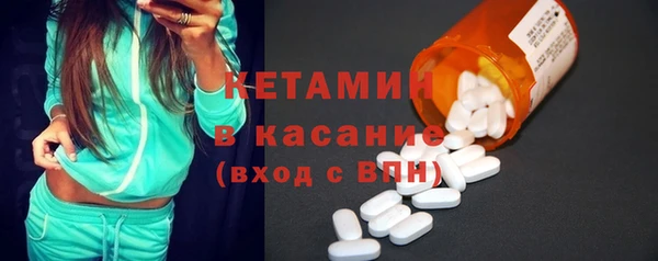 прущие грибы Бородино