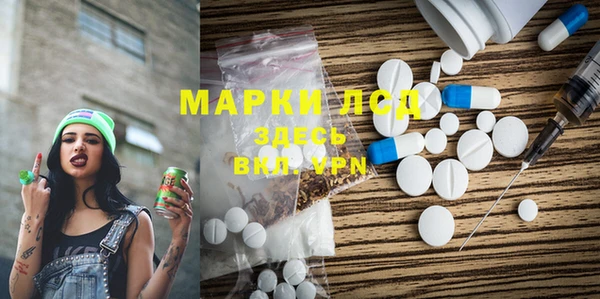 прущие грибы Бородино
