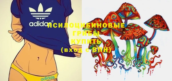 прущие грибы Бородино