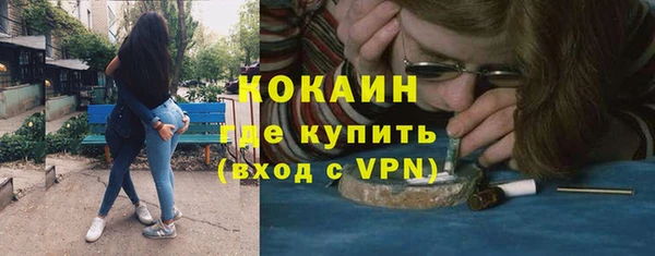 прущие грибы Бородино