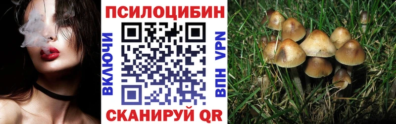 купить наркотик  KRAKEN зеркало  Галлюциногенные грибы MAGIC MUSHROOMS  Сургут 